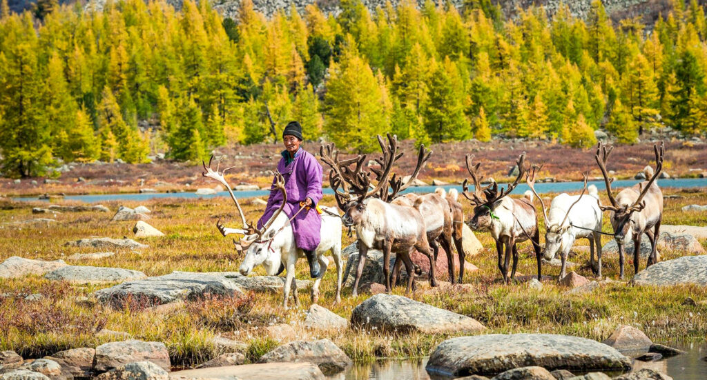 The Land of Taiga & Reindeer Breeders